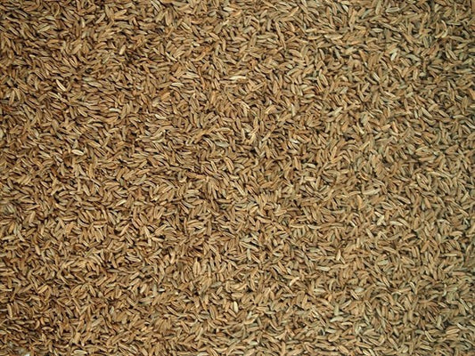 Comino checo entero - 100 g