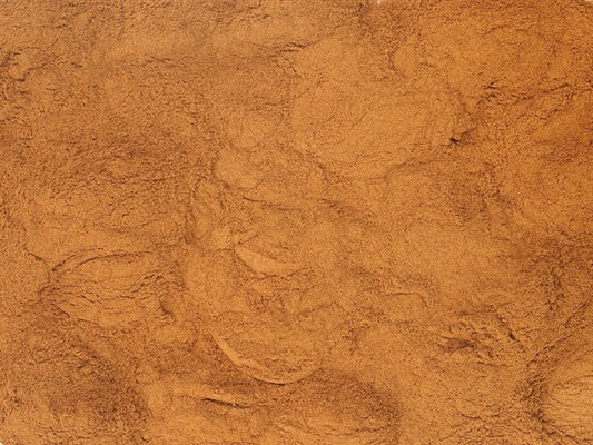 Canela de Ceilán molida BIO - 100 g
